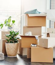 Downsizing Assistance Bloomington IL